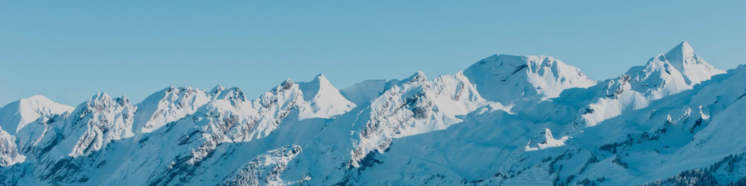 toilettaske toilettaske